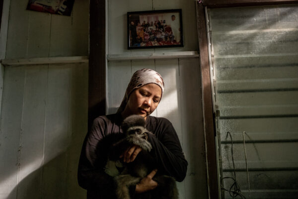 Bam Ramli, 33, founder of the GPSM (Gibbon Protection Society of Malaysia) holds 9 month-old Cinta at an undisclosed location in Pahang, Malaysia. Cinta was rescued from online traders during a sting operation.  Bam is currently using her own house for the infants because they need constant care and GPSM doesn’t have the proper facilities yet. She says “infants need a warm environment at night and need to be given milk every 4 hours. “