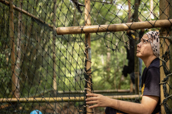 Bam and her team construct a temporary enclosed living area for one of the younger gibbons who is transferring from her home to the jungle as part of the rehabilitation process.