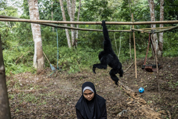 Nrhafizah Sanan, 18, volunteers with the GPSM as a gibbon caretaker.