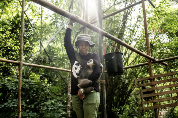 Bam worked as a wildlife ranger for 11 years and has worked with gibbons for 6 years. She is currently the only person doing gibbon rehabilitation in Malaysia.
