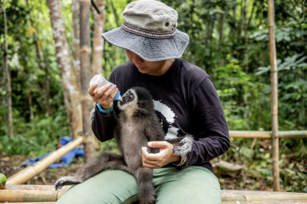 During the rehabilitation process Bam and her team hand feed milt to the infants every 4 hours.