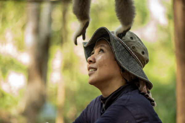 Gibbons primary mode of locomotion, brachiation, involves swinging from branch to branch for distances up to 15 m (50 ft), at speeds as high as 55 km/h (34 mph).