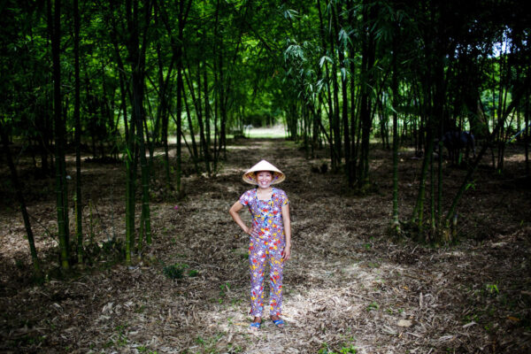 PI Bamboo Images