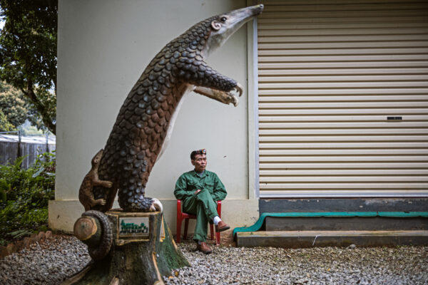 Save Vietnam’s Wildlife is a non-profit organization located in Ninh Binh, Vietnam. 

Their pangolin rescue and rehabilitation program works on rescuing pangolins from the illegal wildlife trade and rehabilitating them back into the wild.