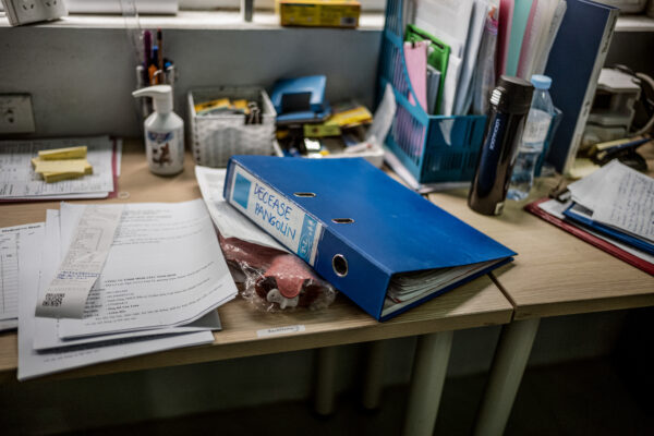 A logbook for documenting deceased pangolins in the veterinarian offices of SVW.