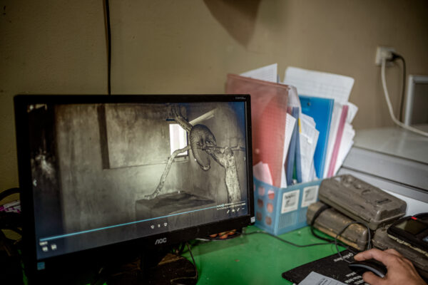 Head pangolin keeper Tran Van Truong, 27, reviews footage from a camera trap of a pangolin and her two-week old baby. 

Pangolins are nocturnal so they must be viewed in the evenings and due to their fragility camera traps are used to monitor their behavior.