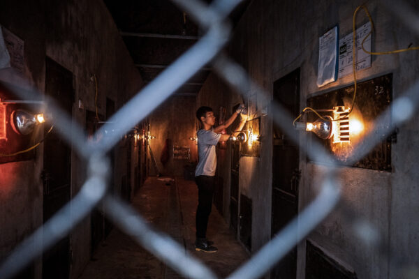 Head pangolin keeper Tran Van Truong, 27, checks on the heat lamps and collects camera traps from the quarantined  area of the center during the day while the pangolin sleep.