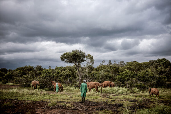 Shedrick Trust_Justin Mott_Kindred Guardians_002