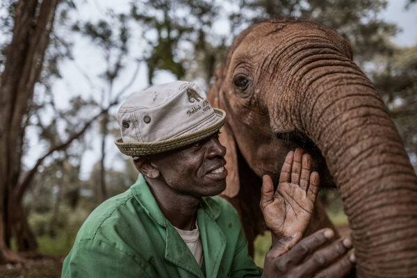 Shedrick Trust_Justin Mott_Kindred Guardians_008