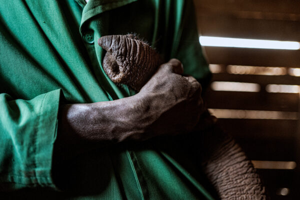 Shedrick Trust_Justin Mott_Kindred Guardians_012