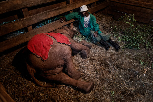 Shedrick Trust_Justin Mott_Kindred Guardians_014