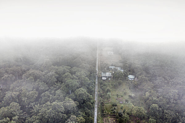 An overview of the landscape of Pool’s rehabilitation center in Saramacca, Suriname. Many of the sloths are rescued from the nearby capital city of Paramaribo and transported to the less populated Saramacca district where Pool checks on their health and then releases them into the jungle.