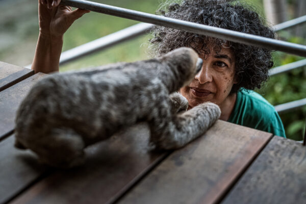 Pool grew up in The Netherlands and moved to Suriname when she was 12 years old. She’s a Surinamese national and before becoming the “Sloth Lady” as many people refer to her as, she was a full-time professional translator.