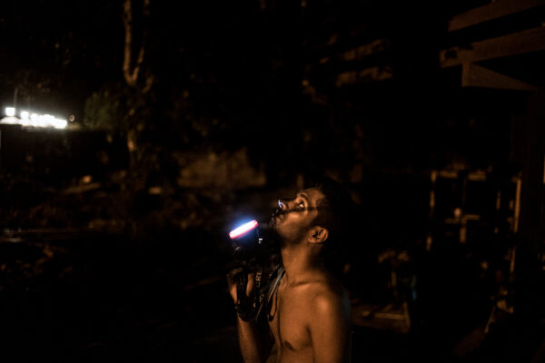 A laborer in the city of Paramaribo flashes the light to show Pool a two-toed sloth that he found living in his tree.