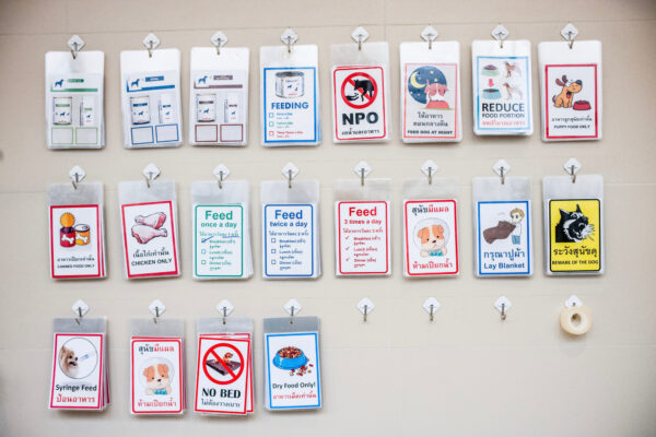 Cards are assigned at each kennel of the recovery unit of the hospital to let the caretakers know of each dogs specific needs.