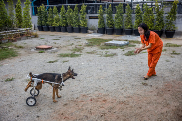 Aiw Wongla, 26, encourages Fanumpa in using her wheelchair during their training session.