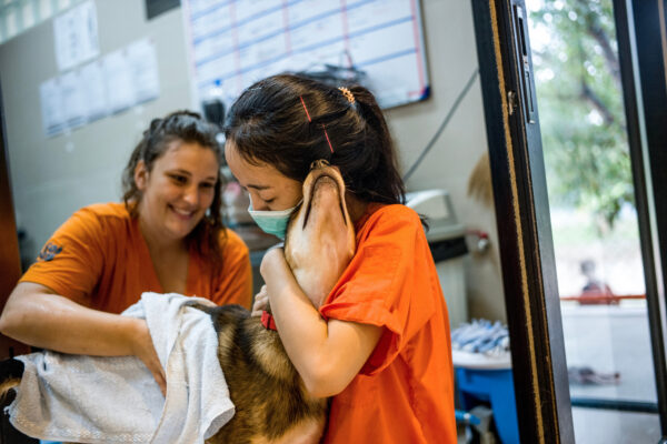 Talking about the struggles of her job, Marlen says “If we work a long time with an animal but it simply won’t respond to the therapy due to other health reasons and we have no other chance to say goodbye to this animal. It breaks my heart every single time and even though we know it’s not our fault it sometimes feels like failure. And those animals are our friends. We build up such a strong relationship with them, they are not simply Street dogs/cats they truly are our friends.”