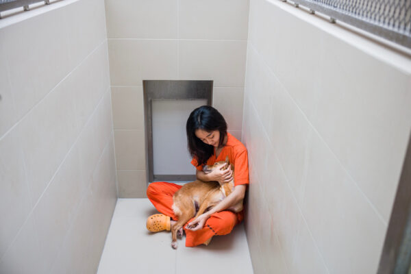Veterinarian nurse, Aiw Wongla, 26,  cuddles in the kennel of Madahva. Madahva was brought in by Soi Dog’s  community outreach program and couldn’t stand up or walk on her own due to neurological problems caused by distemper. Through the use a balance board to teach her body awareness  as well as some laser acupuncture treatment  she can now walk and even run.