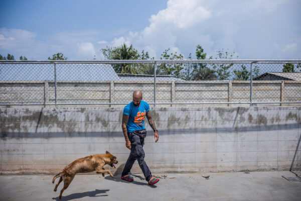 Curtis Brown takes one the dogs he trains for behaviorial troubles out and encourage him to play and interact with him.