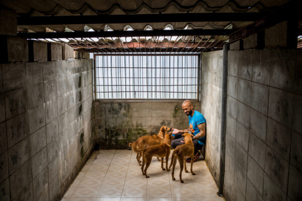 Curtis Brown, Behaviour and Enrichment Manager at Soi Dog check on a group of blind dogs in their kennel.