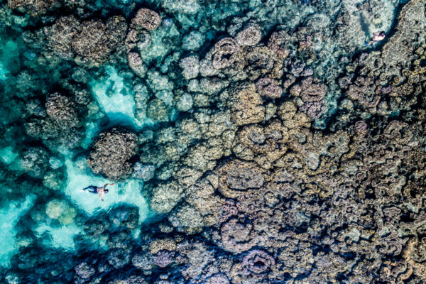 Aerial view of a coral reef with two swimmers in clear turquoise water.