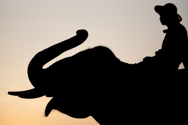 Silhouette of a person wearing a wide-brim hat riding an elephant at sunset, against an orange sky.
