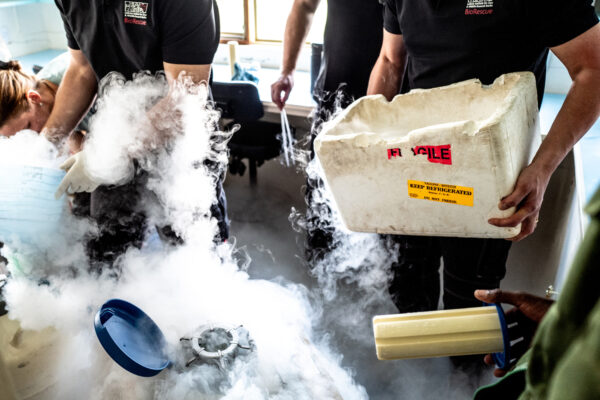 Researchers in black BioRescue shirts handle a large white cooler, releasing thick dry-ice fog in a lab setting with people nearby.
