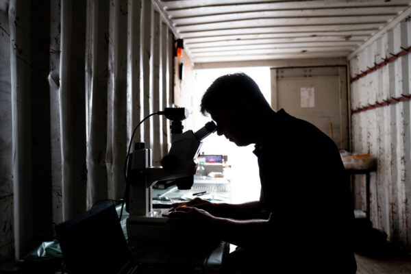 Silhouette of a researcher looking into a microscope inside a dim shipping-container lab, backlit by bright exterior light.