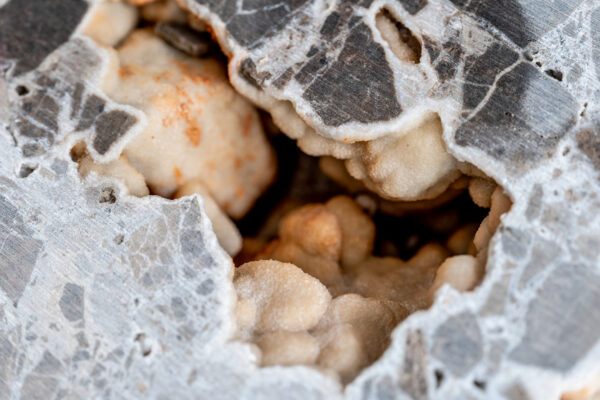 Close-up of a cracked gray rock exposing pale beige crystalline material inside the hollow.
