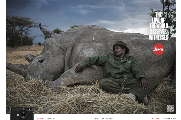 Man in a green uniform rests beside a large sleeping elephant in a savanna, with Leica branding on the right.