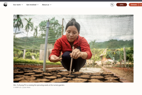 Woman in a red jacket crouches to sow seeds in a nursery garden, arranging soil on raised beds.
