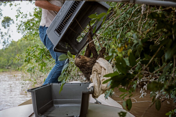 Rescue worker on a boat lifts a large plastic animal crate while a wet brown otter clings to a towel nearby.