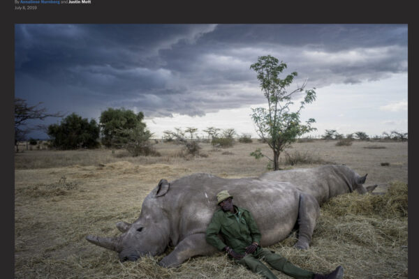Ranger in green uniform resting beside a dead northern white rhino on a dry savannah, with stormy clouds overhead.
