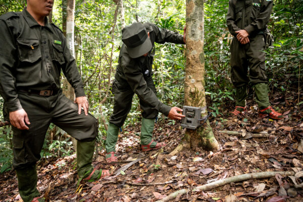 Three people in green uniforms in a forest attach a data logger to a tree; one crouches placing a device on the trunk while others observe.