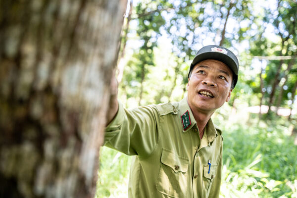 Park ranger in a khaki uniform reaching toward a tree in a sunlit forest, smiling.