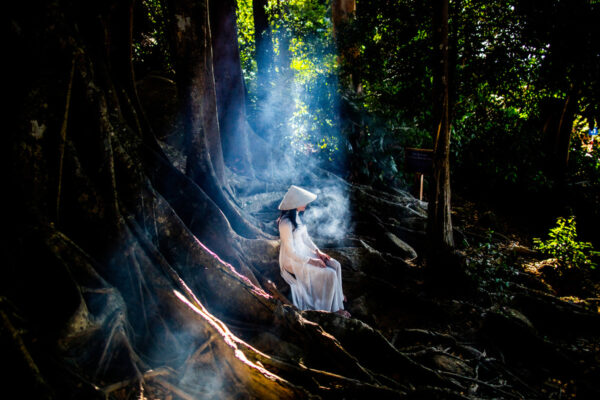 Woman in a white ao dai and conical hat sits on large tree roots in a smoky, sunlit forest.