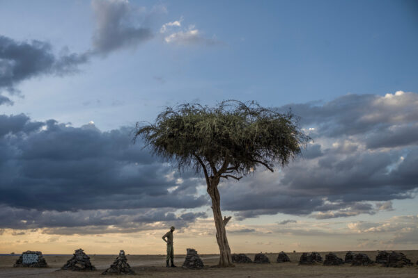 Man standing with hands on hips beside a solitary tree on a flat plain, encircled by stacked stone cairns at sunset.