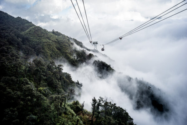 Cable car gliding along cables over a foggy, forested mountain slope.